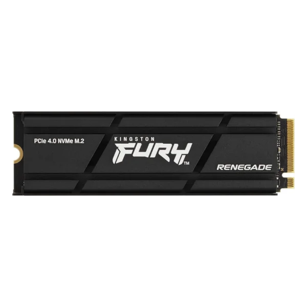 Kingston Fury Renegade 500GB